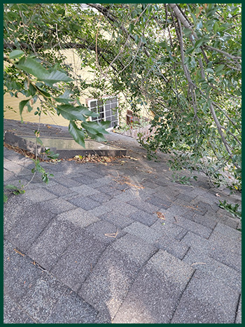 prepping-your-roof-for-winter